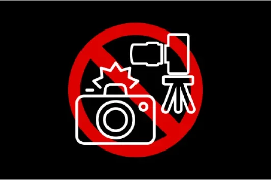 フラッシュを使用した写真撮影、および周囲の観戦の妨げになる大きな機材(望遠レンズ、三脚など)を使用しての写真撮影はおやめください